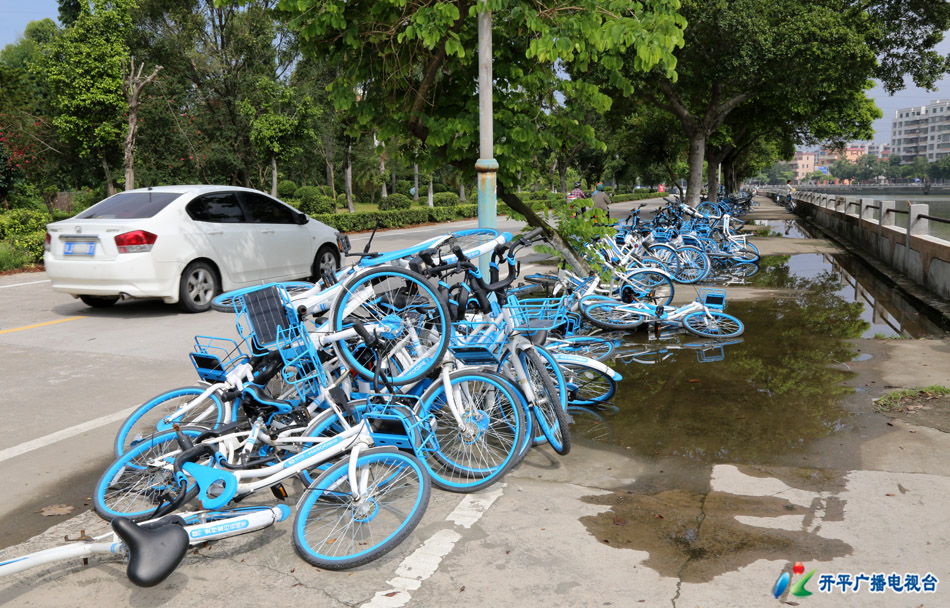 0-4 2H3A6542 - 副本 迳头海旁共享单车乱堆放.jpg